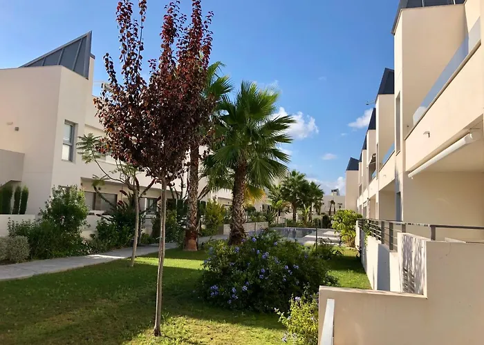 Amalia 54 托雷维耶哈